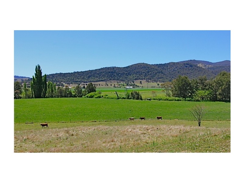 639 Castlereagh Highway, Mudgee NSW 2850