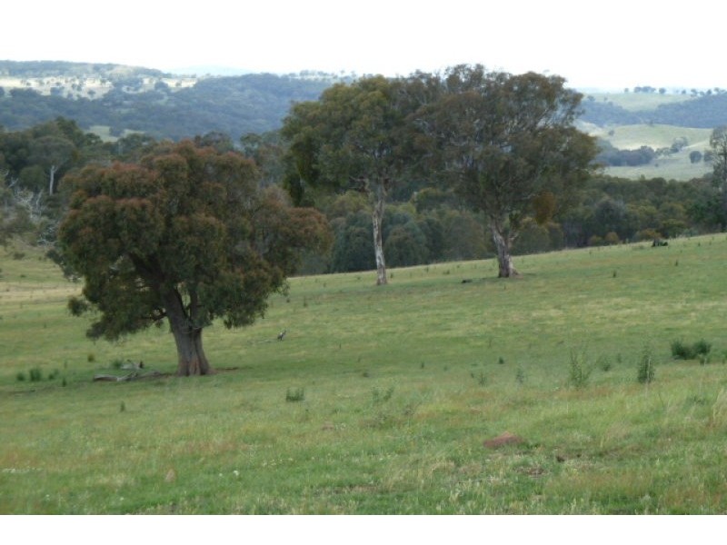 Mudgee NSW 2850
