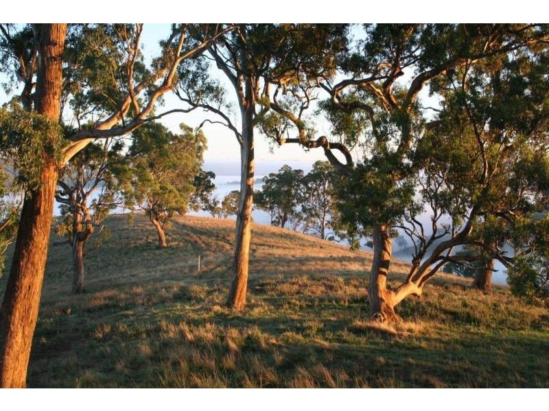 Capertee NSW 2846