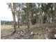 Capertee NSW 2846