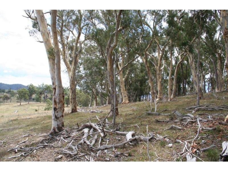 Capertee NSW 2846