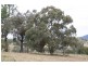 Capertee NSW 2846