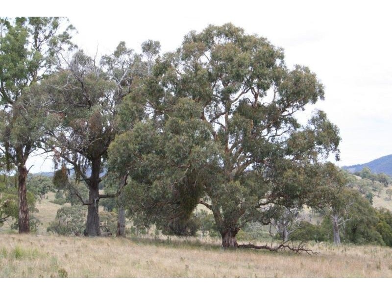 Capertee NSW 2846