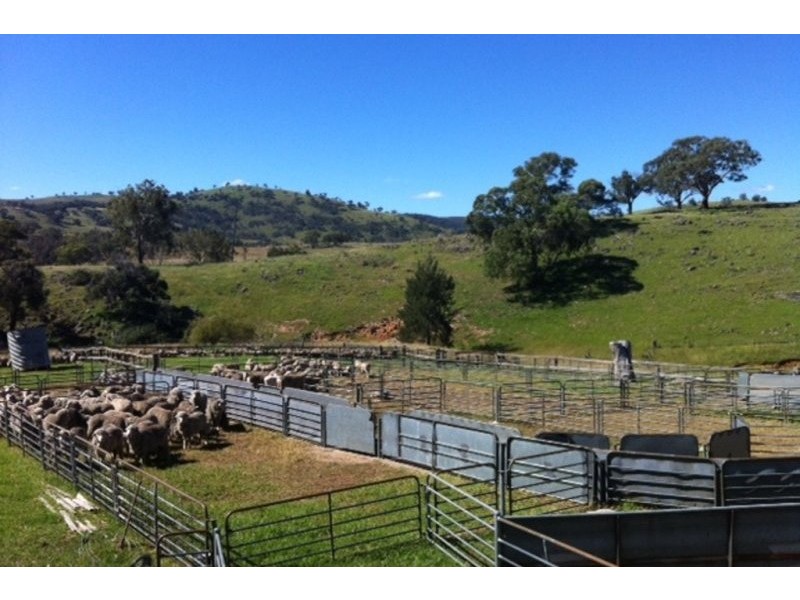 LOT 49 Hill End Road, Hargraves NSW 2850