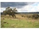 Windeyer NSW 2850