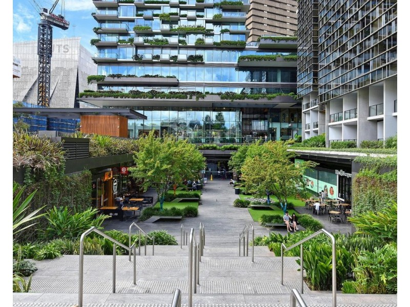 8 Central Park Avenue, Chippendale NSW 2008