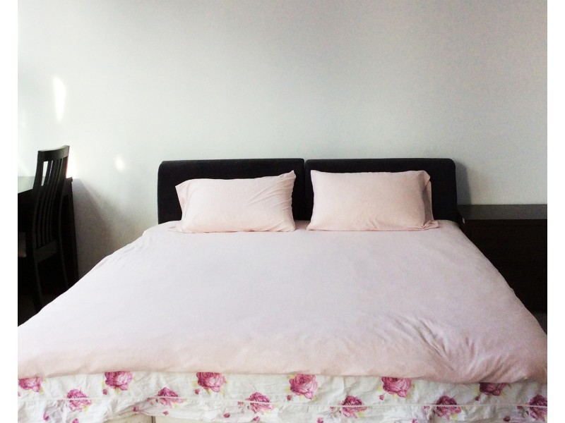 8 Central Park Avenue, Chippendale NSW 2008