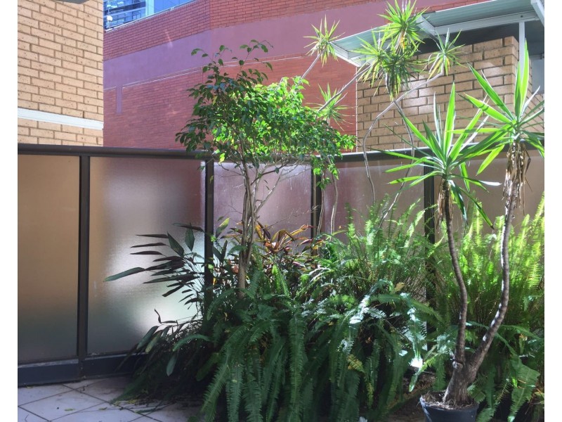 11/336 Sussex Street, Sydney NSW 2000