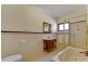146 Willeroo Drive, Windsor Downs NSW 2756