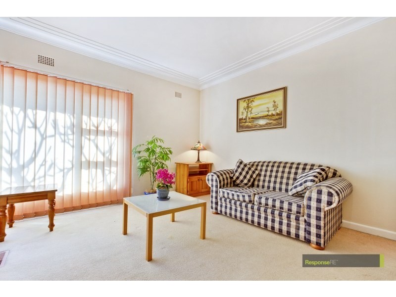 119 Binalong Road, Old Toongabbie NSW 2146