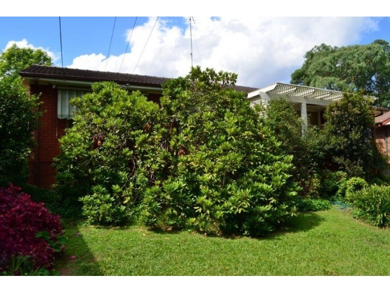 31 Buckingham Road, Baulkham Hills NSW 2153