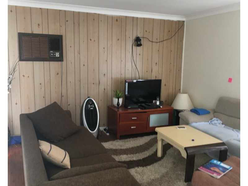 33 Greenleaf Street, Constitution Hill NSW 2145