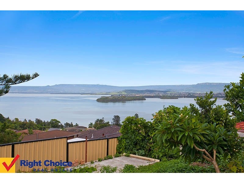 Lake Heights NSW 2502
