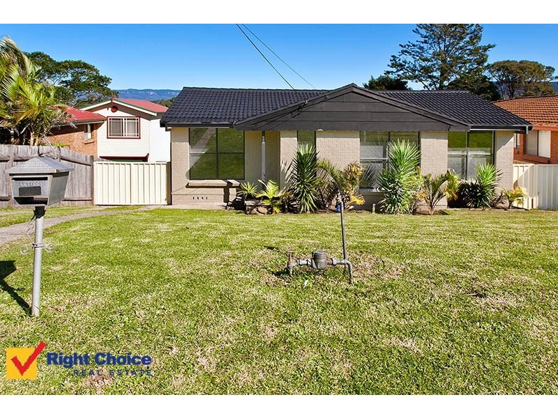 25 Cannon Street, Dapto NSW 2530