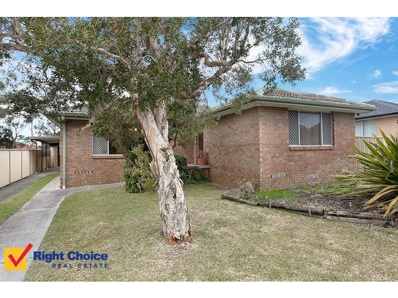 67 Elm Street, Albion Park Rail NSW 2527