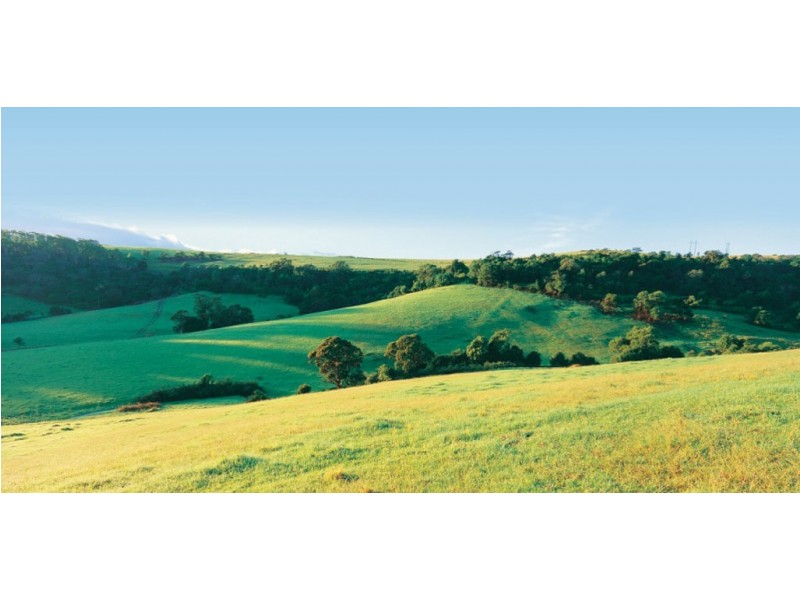 16 Headwater Place, Albion Park NSW 2527