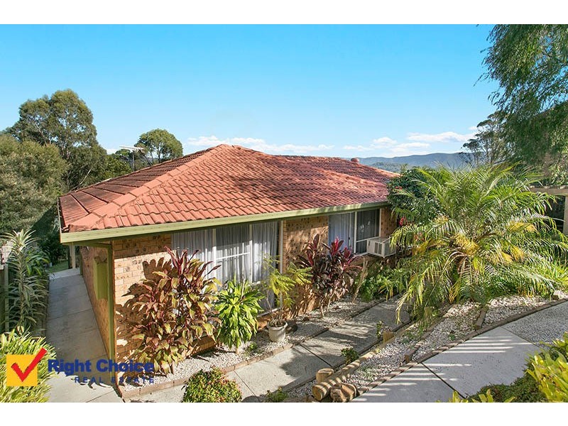 56 Noble Road, Albion Park NSW 2527