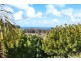 1327 Jamberoo Road, Jamberoo NSW 2533