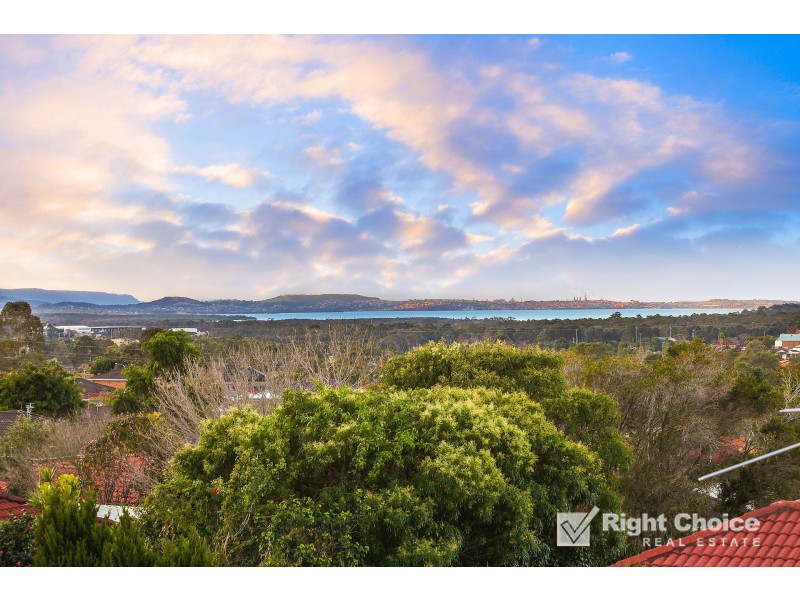 14 Campaspe Circuit, Albion Park NSW 2527
