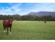 15 Godson Way, Wongawilli NSW 2530