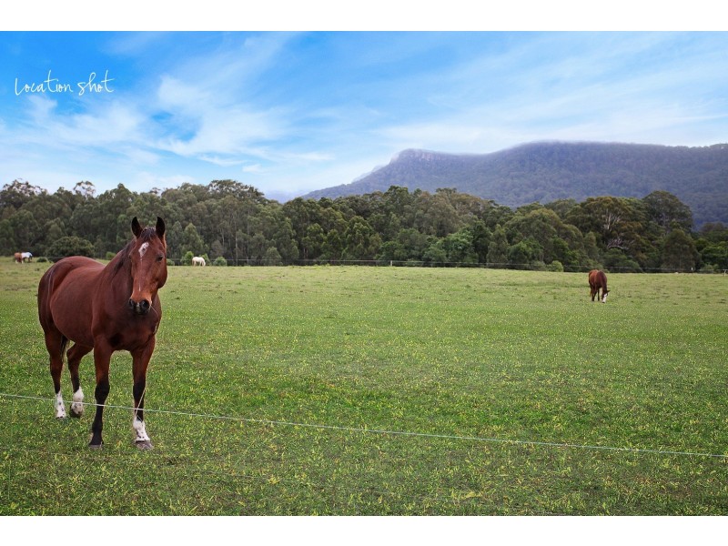 15 Godson Way, Wongawilli NSW 2530
