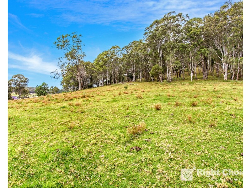 29 Huon Crescent, Albion Park NSW 2527