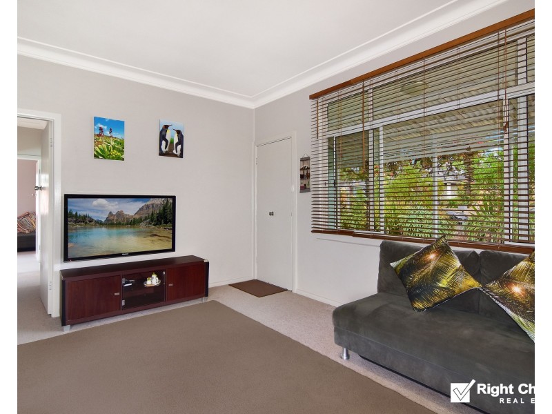53 Sammat Avenue, Barrack Heights NSW 2528