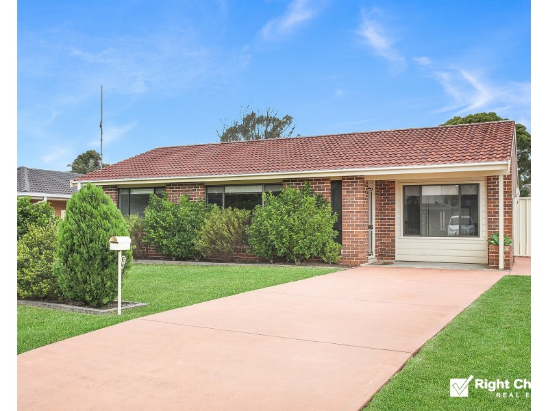 20 Badgery Street, Albion Park NSW 2527