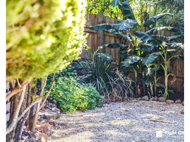 65 Scenic Crescent, Albion Park NSW 2527