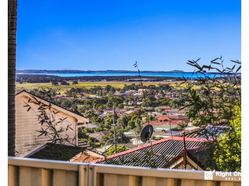 65 Scenic Crescent, Albion Park NSW 2527