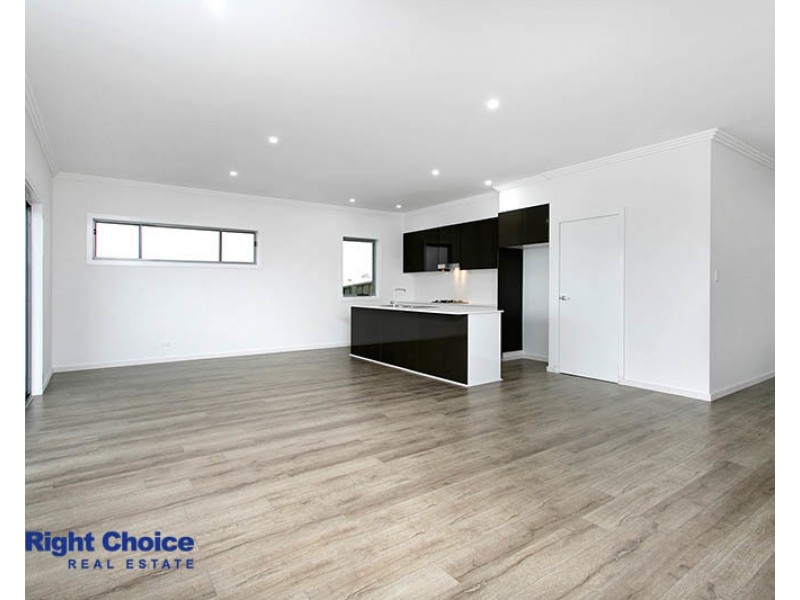 14a Danjera Drive, Albion Park NSW 2527