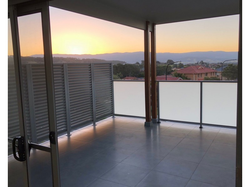 14a Danjera Drive, Albion Park NSW 2527