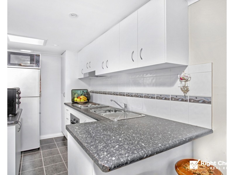 20 Diamantina Circuit, Albion Park NSW 2527