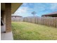 43 Daintree Street, Bellmere QLD 4510