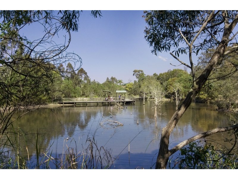 Unit 1/14 Biran Street, Coorparoo QLD 4151