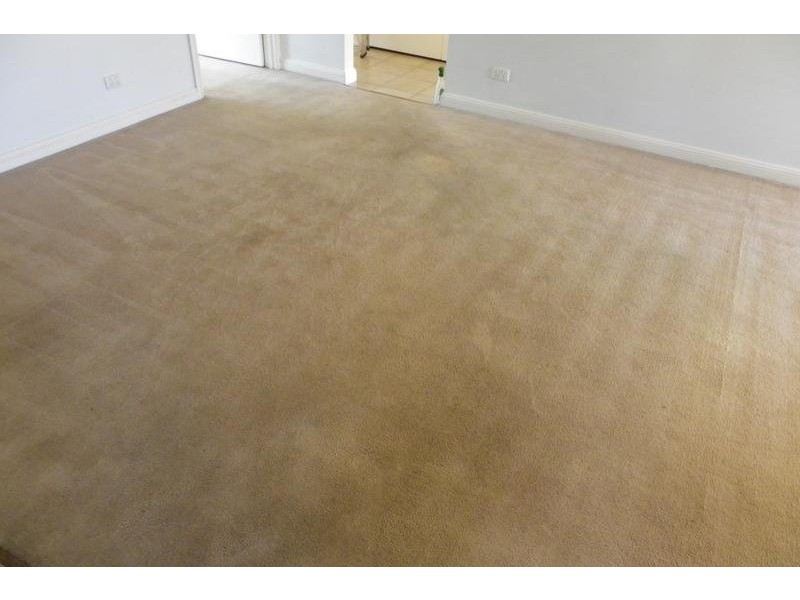Unit 1/73 Primrose Street, Sherwood QLD 4075