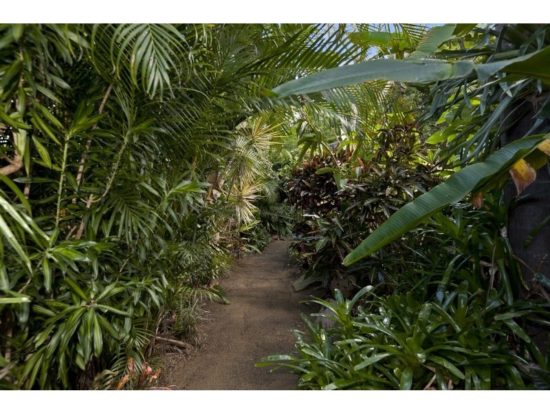 12 Makepeace Place, Bellbowrie QLD 4070