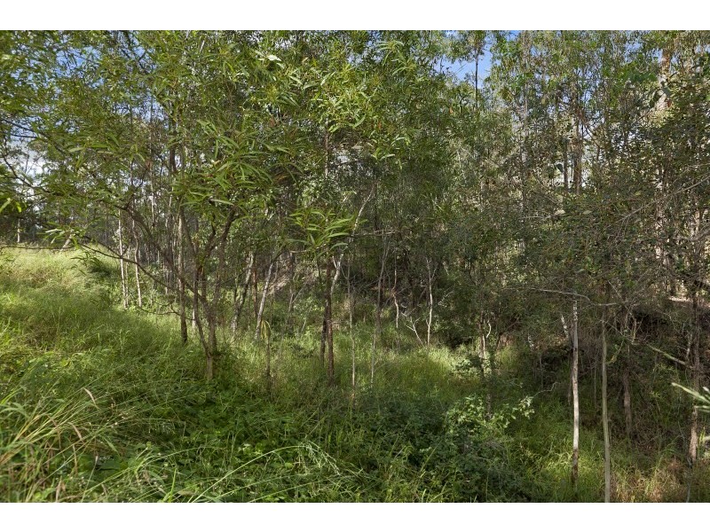 40 Leonard Street, Yamanto QLD 4305