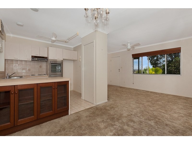 8 Avida Street, Alderley QLD 4051