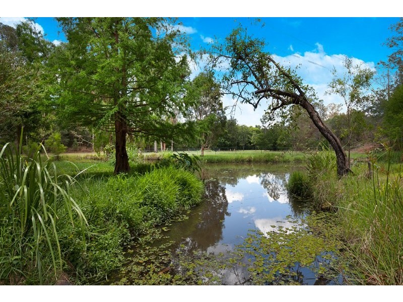 41 Riversleigh Road, Bellbowrie QLD 4070