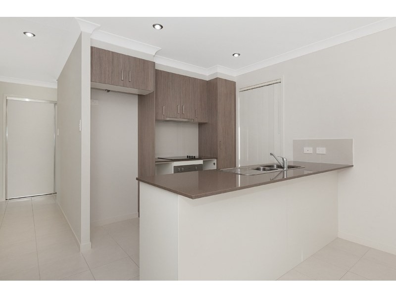 38 Walter Williams Crescent, Redbank Plains QLD 4301