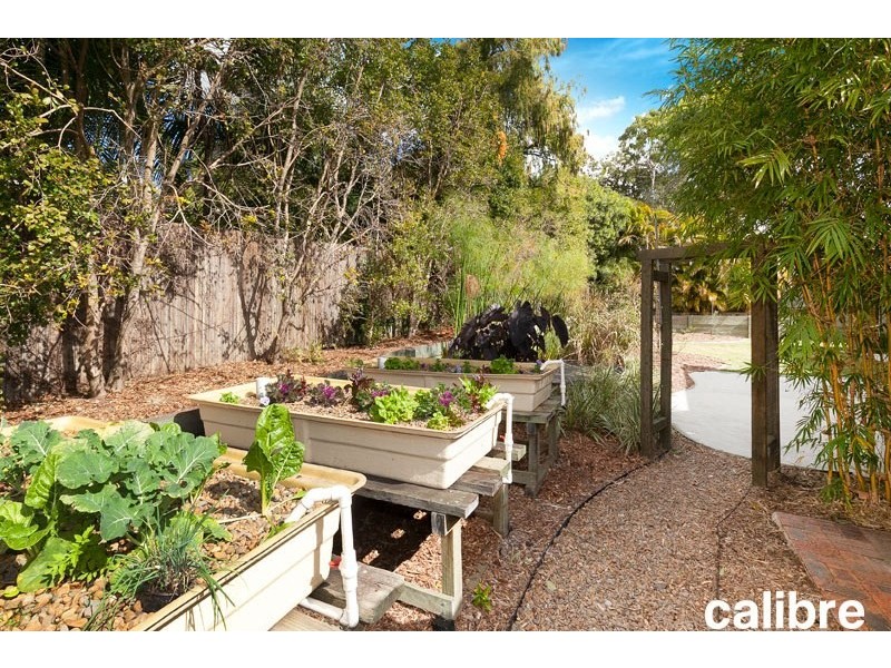 18 Montanus Drive, Bellbowrie QLD 4070