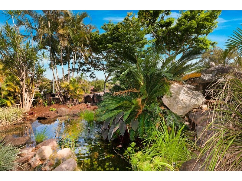 29 Horizon Drive, Jamboree Heights QLD 4074