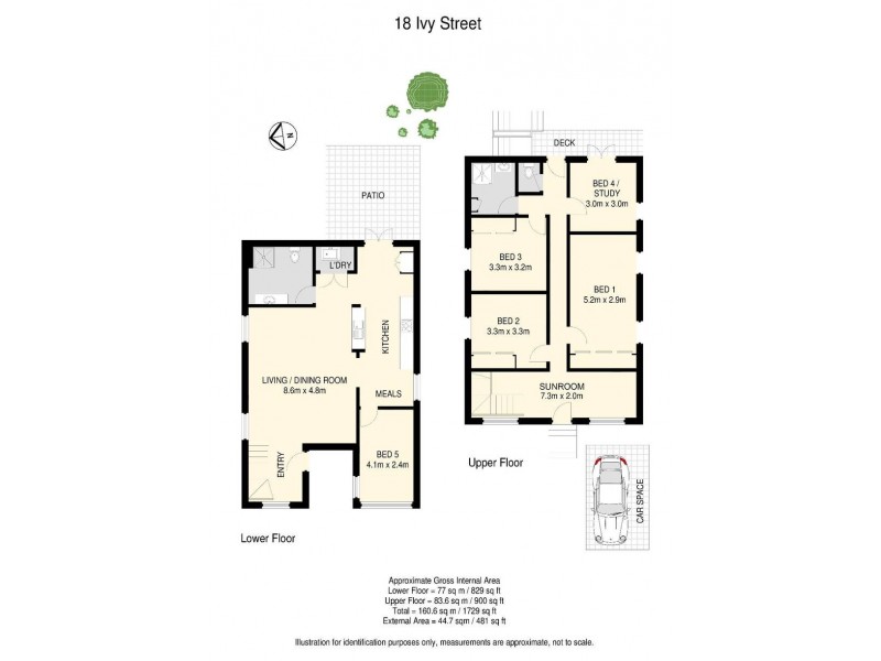 18 Ivy Street, Toowong QLD 4066 Floorplan