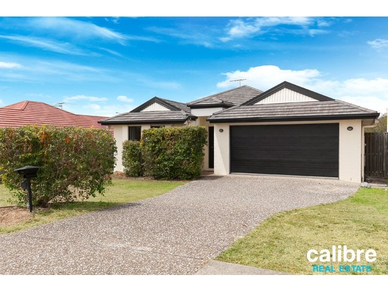 19 Cobbin Circuit, Redbank Plains QLD 4301