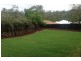 51 Bellbird Drive, Bellbird Park QLD 4300