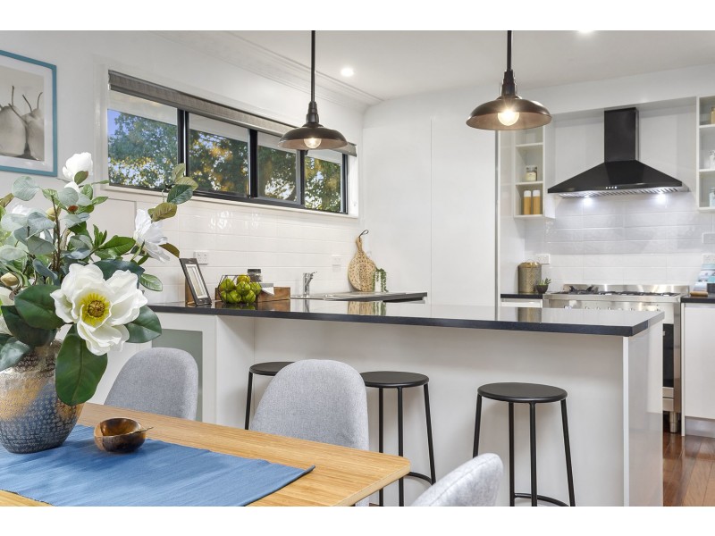 42 Hornby Street, Everton Park QLD 4053