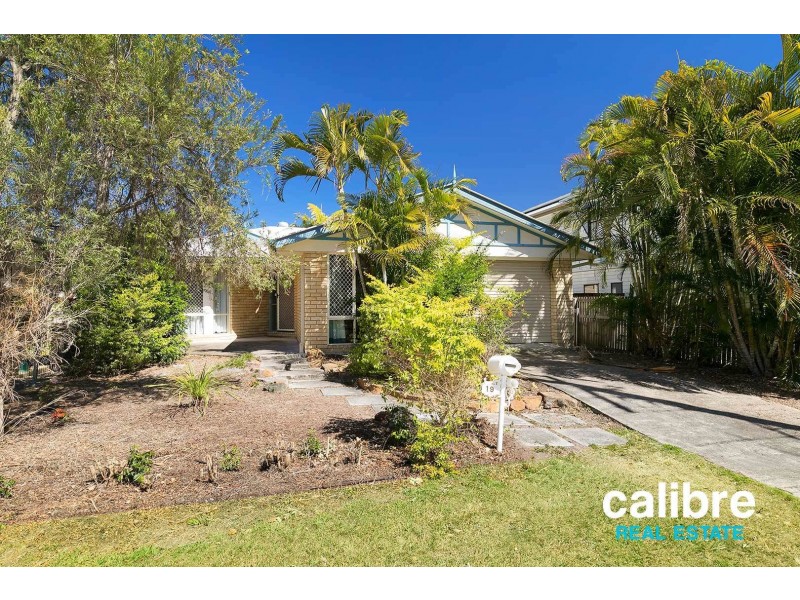 19 White Street, Graceville QLD 4075