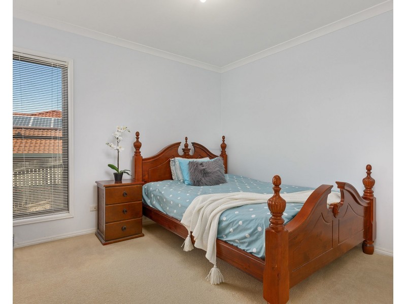 5 Mareeba Court, Arana Hills QLD 4054