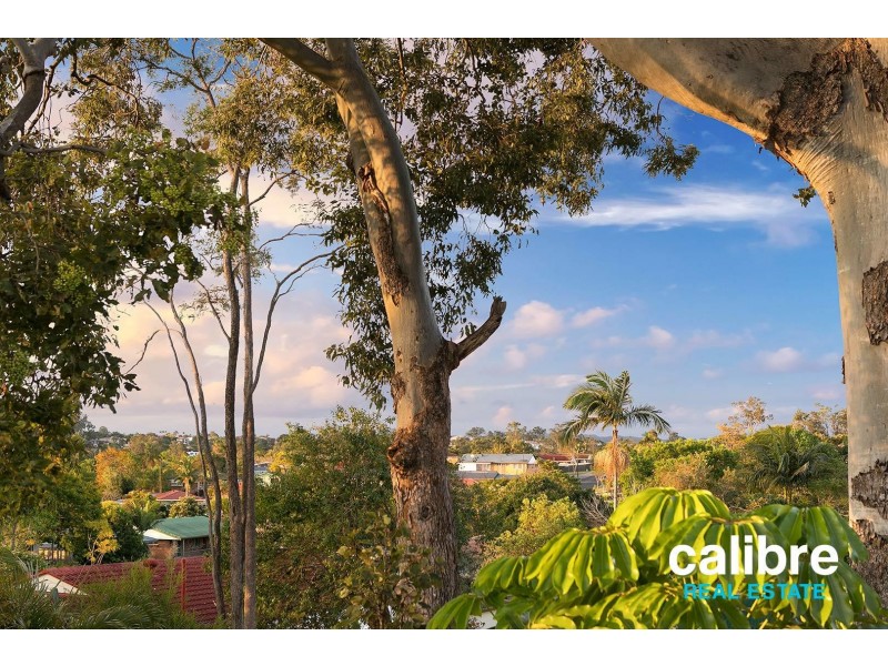 1 Horizon Drive, Jamboree Heights QLD 4074